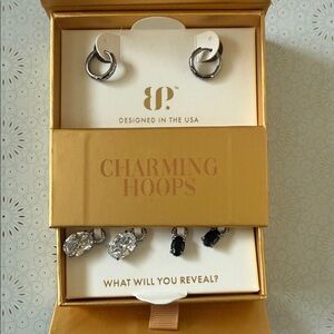 BP Silver and Black Hoop Earrings